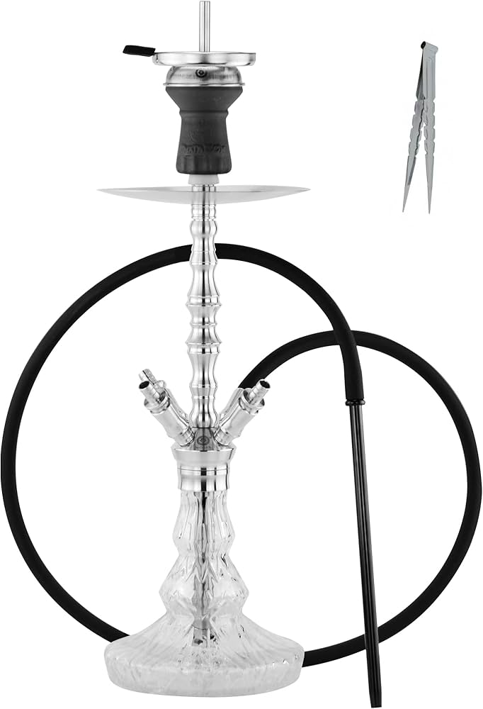 Ostin Teylor ahmoq Geylar