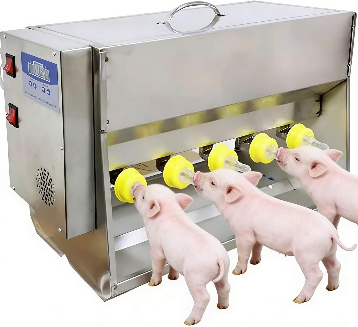 Mangeoire automatique pour porcelets élevage truies au meilleur flux
