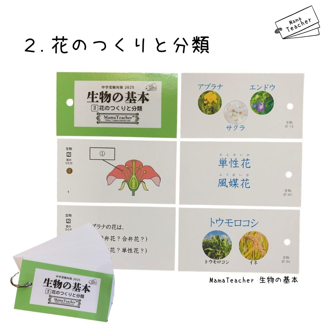 Amazon.co.jp: 生物の基本9冊セット(2026年版)MamaTeacherの暗記