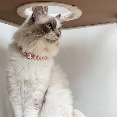 Miniatura 9 de KUDES Collares de perlas grandes para perros pequeños y gatos con decoración de diamantes de imitación de cristal, ajustable, lindo collar de piel