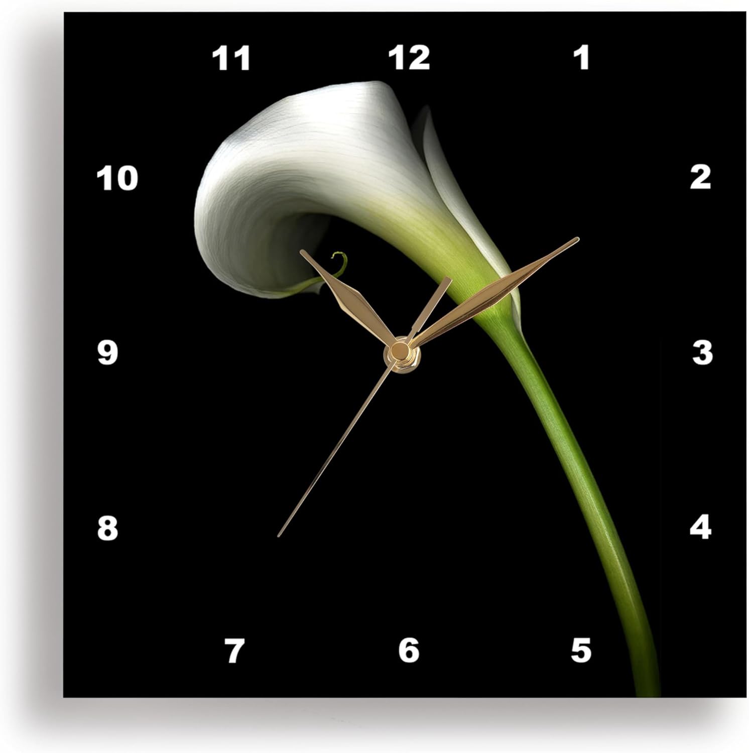 3dRose DPP_4272_2 White Calla Lily Wall Clock, 13 by 13-Inch