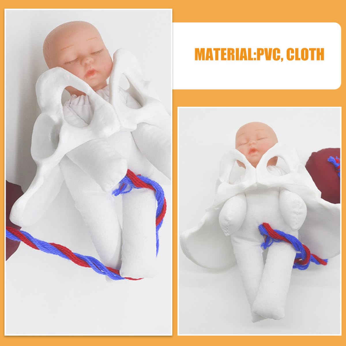 Operitacx Modèle Outil Polyvalent Cordon Ombilical et Placenta de Simulation D'accouchement en Pvc Fœtus Détaillé pour Formation Prénatale et Éducation Médicale