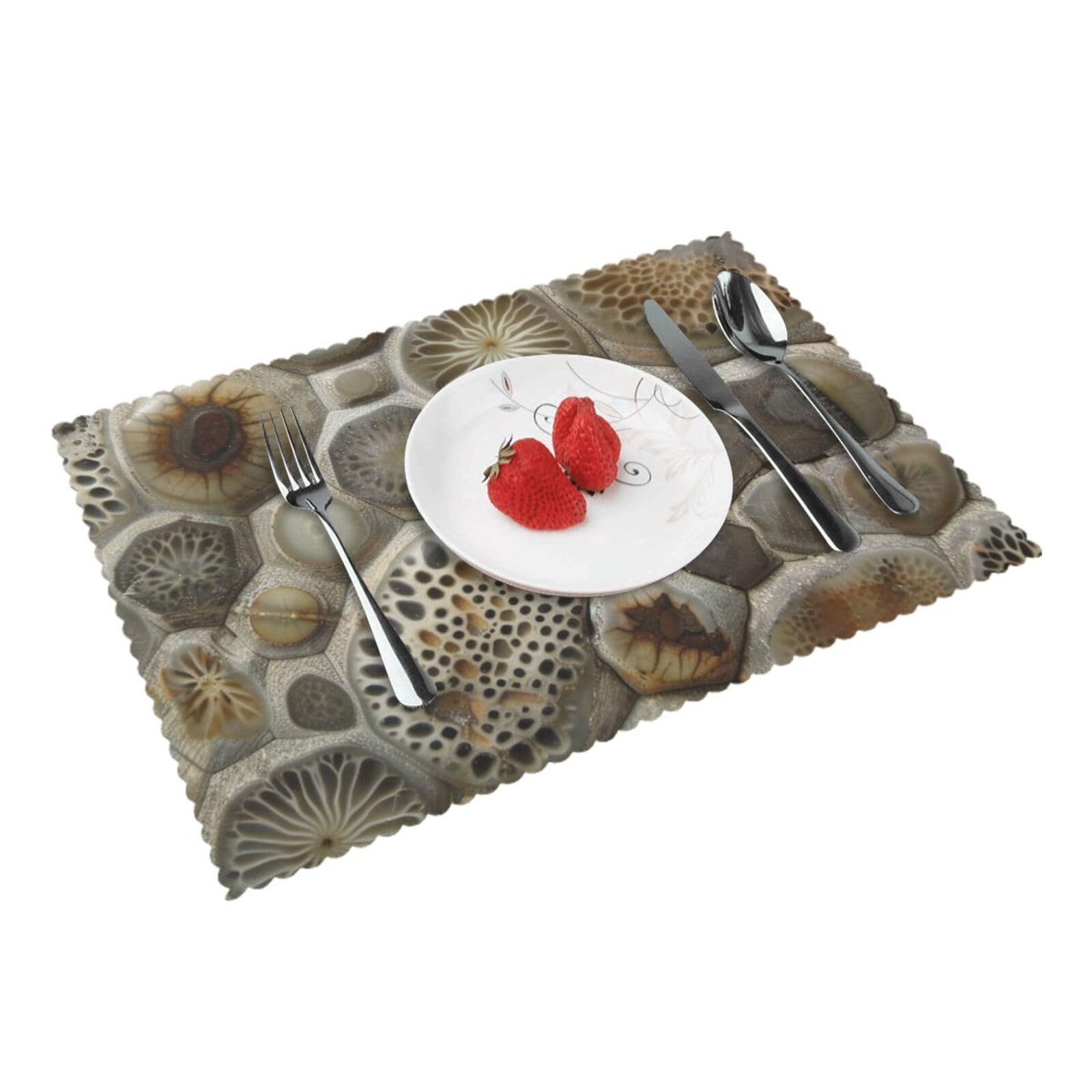 Petoskey Stone Printed Placemat Heat Resistant Place Mats Set of 4 PCS Washable Kitchen Table Mats, 12x18 Inch