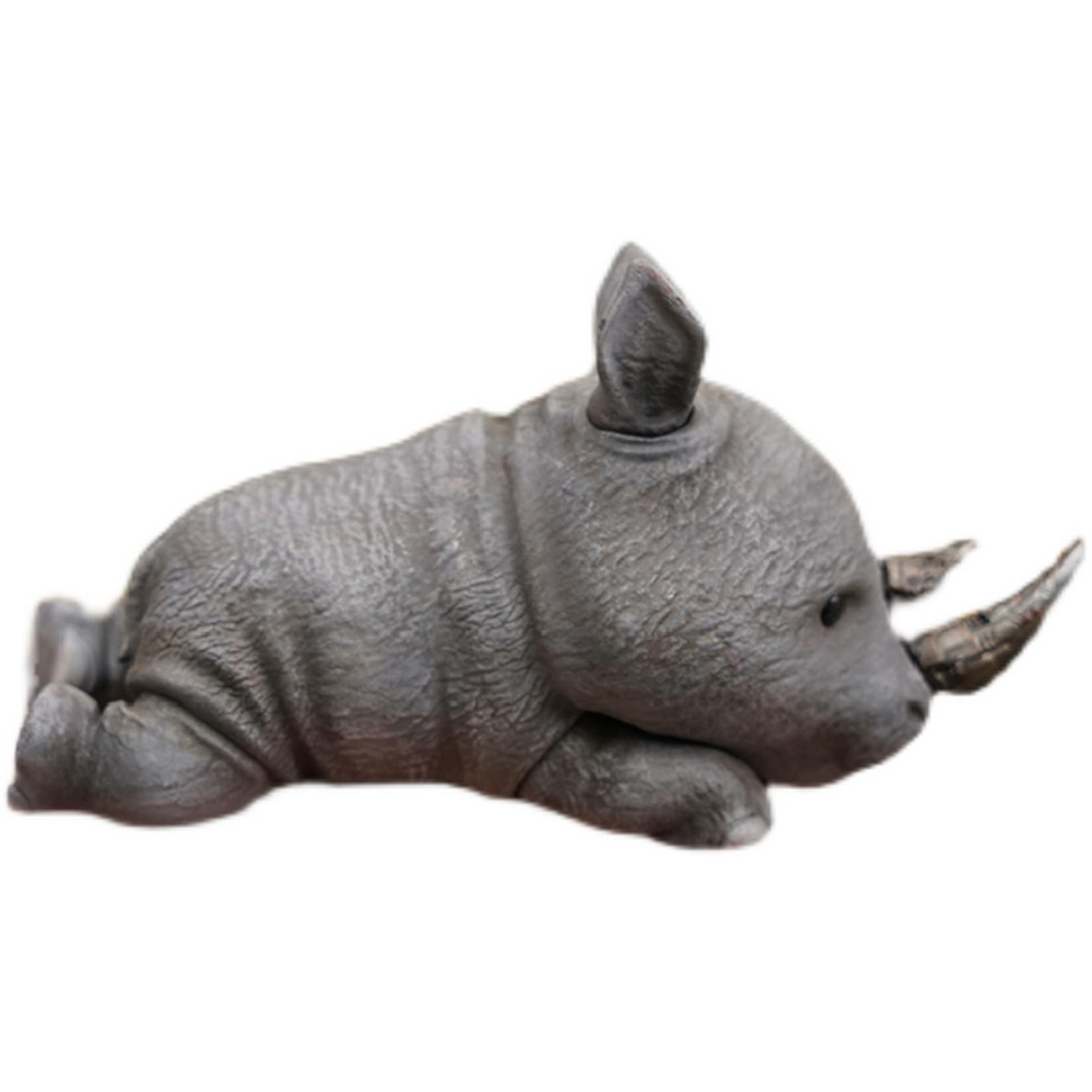 Amazon | BACALYSO | JACKSDX動物保護法 サイの角 15cm級 犀 奇蹄目