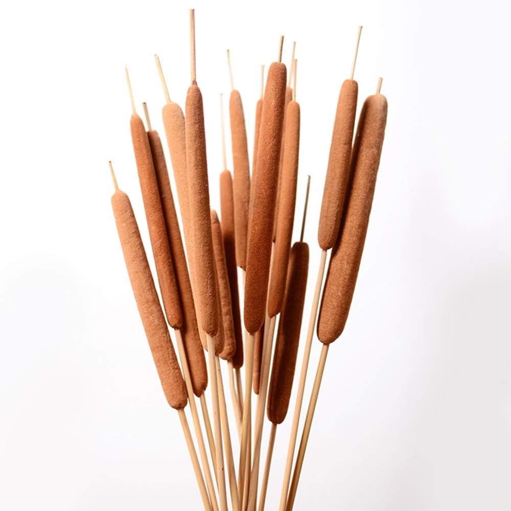 40 Pcs Dried Natural Cattails Jumbo Dried Flowers for Floral Arrangement Wedding Home Decoration