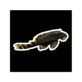 Sell skins to earn cash Craig Simulator