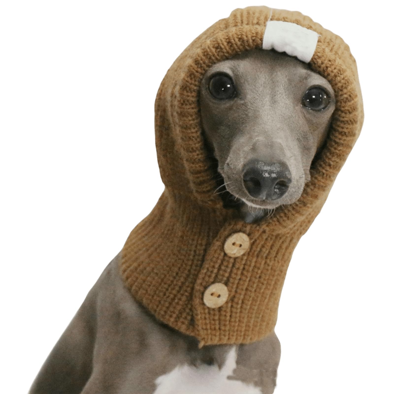 IUOUTG Italian Greyhound Winter Hat, Warm Knit Dog Hat with Neck Cover Soft Stretchy Winter Headwear for Puppy for Cold Weather Outdoor Use