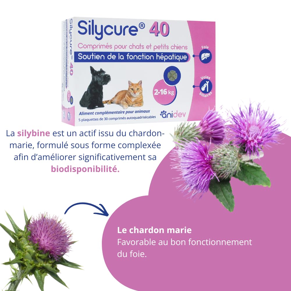 SYLICURE 40 mg - ANIDEV 150 comprimés