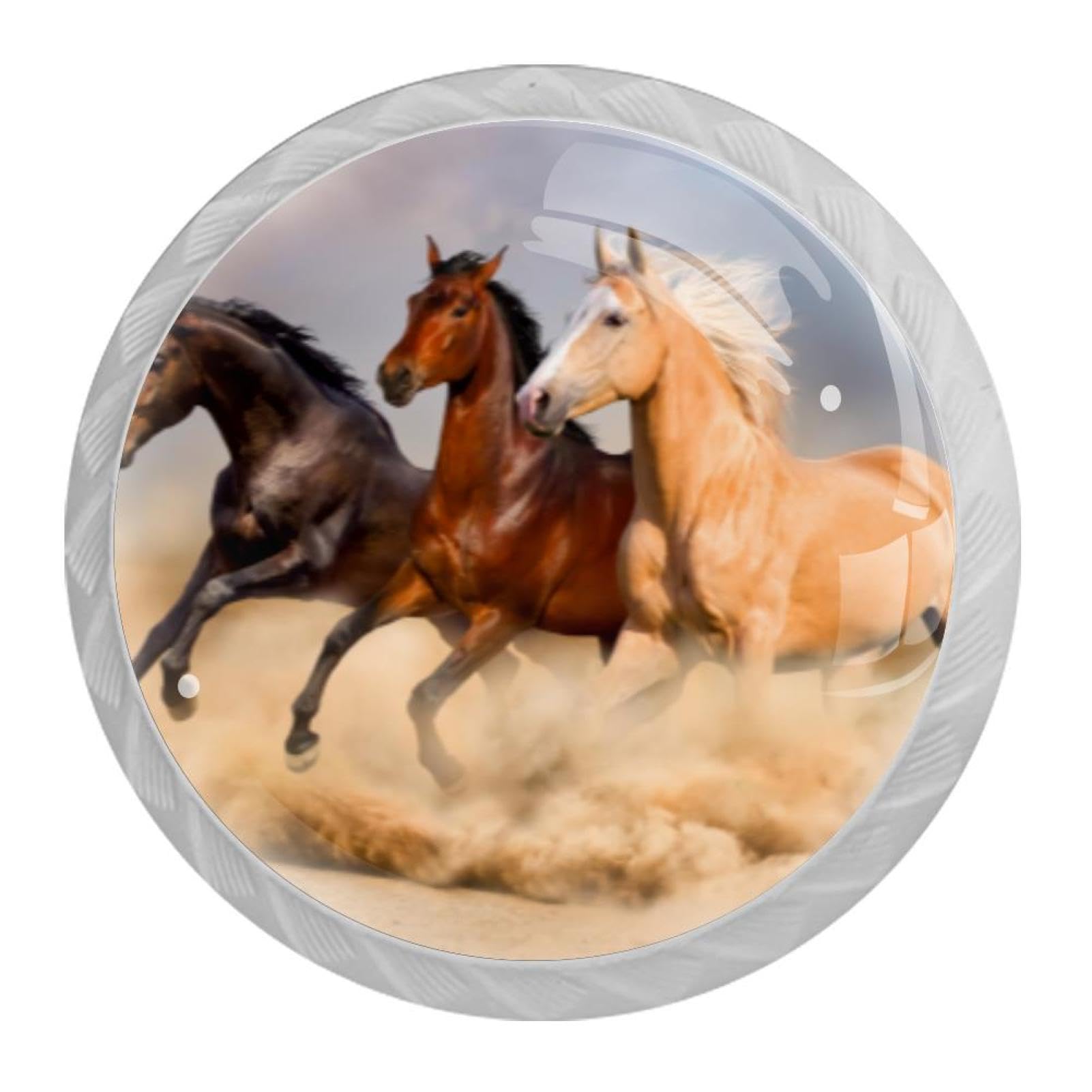 Tqmspg Horses