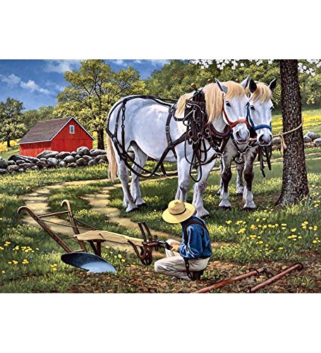 Tallenge – Horse Hitching Rail – A3 Size Rolled Poster