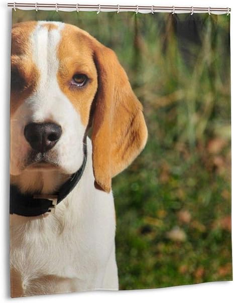 Amazon Co Jp シャワーカーテン ビーグル犬 正面 顔 バスカーテン 浴室カーテン 目隠しカーテン 間仕切りカーテン リング付け 不透明 取り付け簡単 防水 防カビ 雑貨 清潔感 速乾 洗面所 おしゃれ 152 1cm ホーム キッチン
