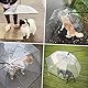 PETLESO Hundeschirme, Regenjacken für Hunde, Hunde Sonnenschirm für Spaziergänge im Freien bei Regen- und Schneewetter