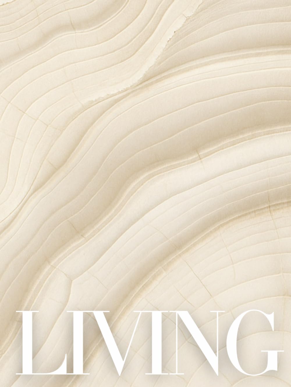 Livre de Décoration LIVING SWEET HOME pour Sublimer Votre Table Basse Salon