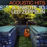 Acoustic Hits