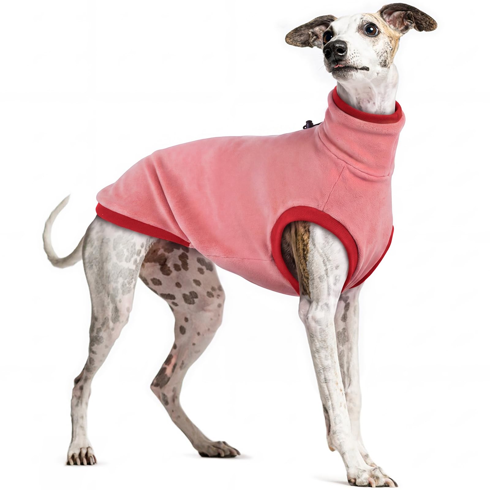 Whippet Coat Winter Warm, Italian Greyhound Clothing(Red, S)