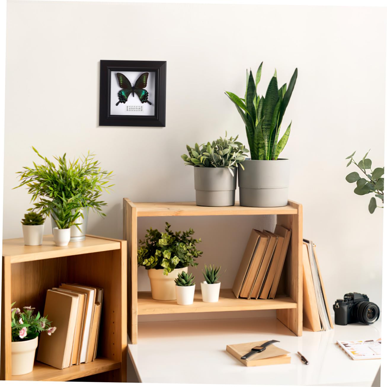 STOBAZA Marco de Exhibición DIY de Mariposa Simulada, Negro, Acrílico