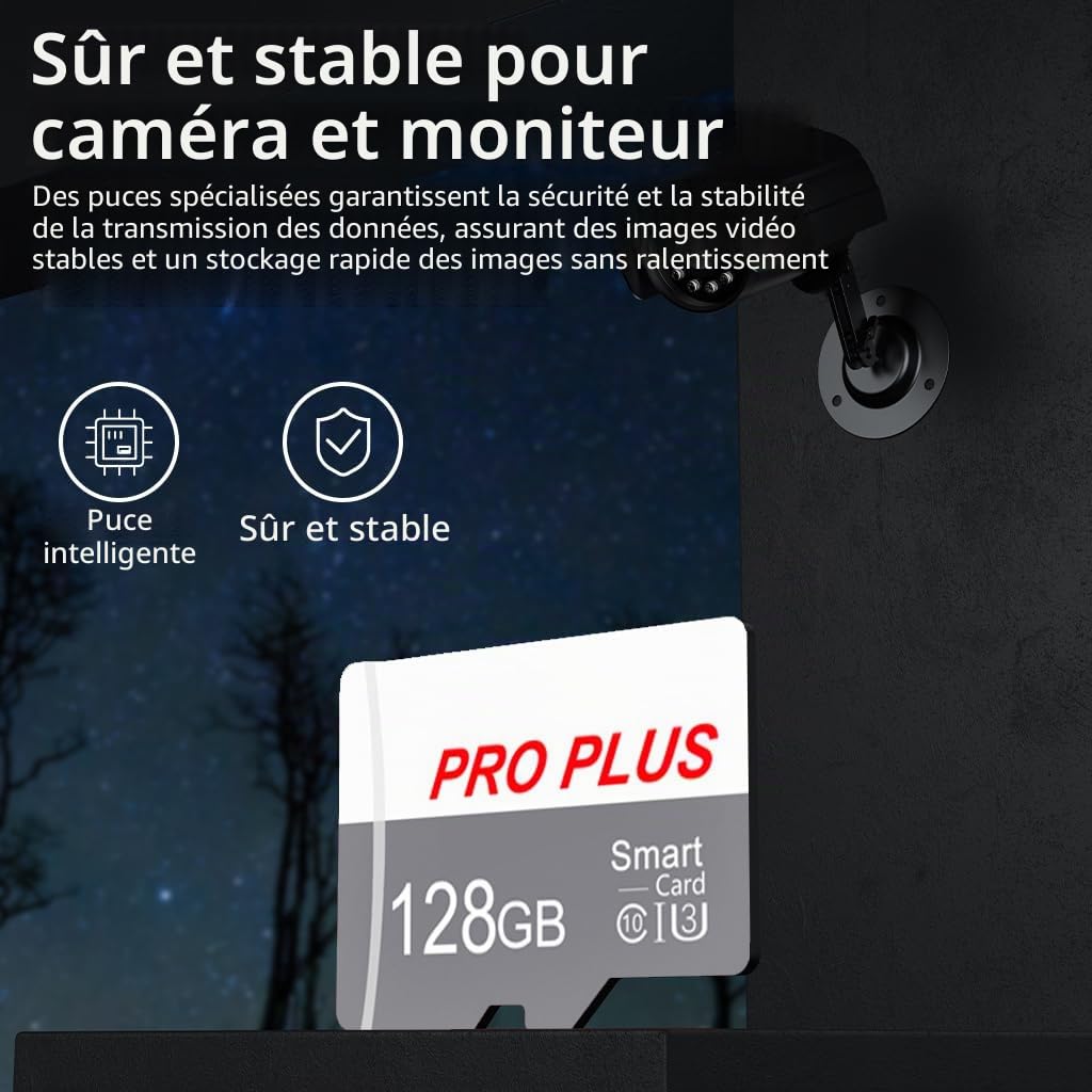 Lot de 2 Carte Mémoire 128 Go avec Adaptateur, Carte Mémoire TF Haute Vitesse, UHS-I, A1, C10, Carte TF pour Tablette/Téléphone/Appareil Photo/Autoradio/Enregistreur de Conduite (TF183 128 Go)