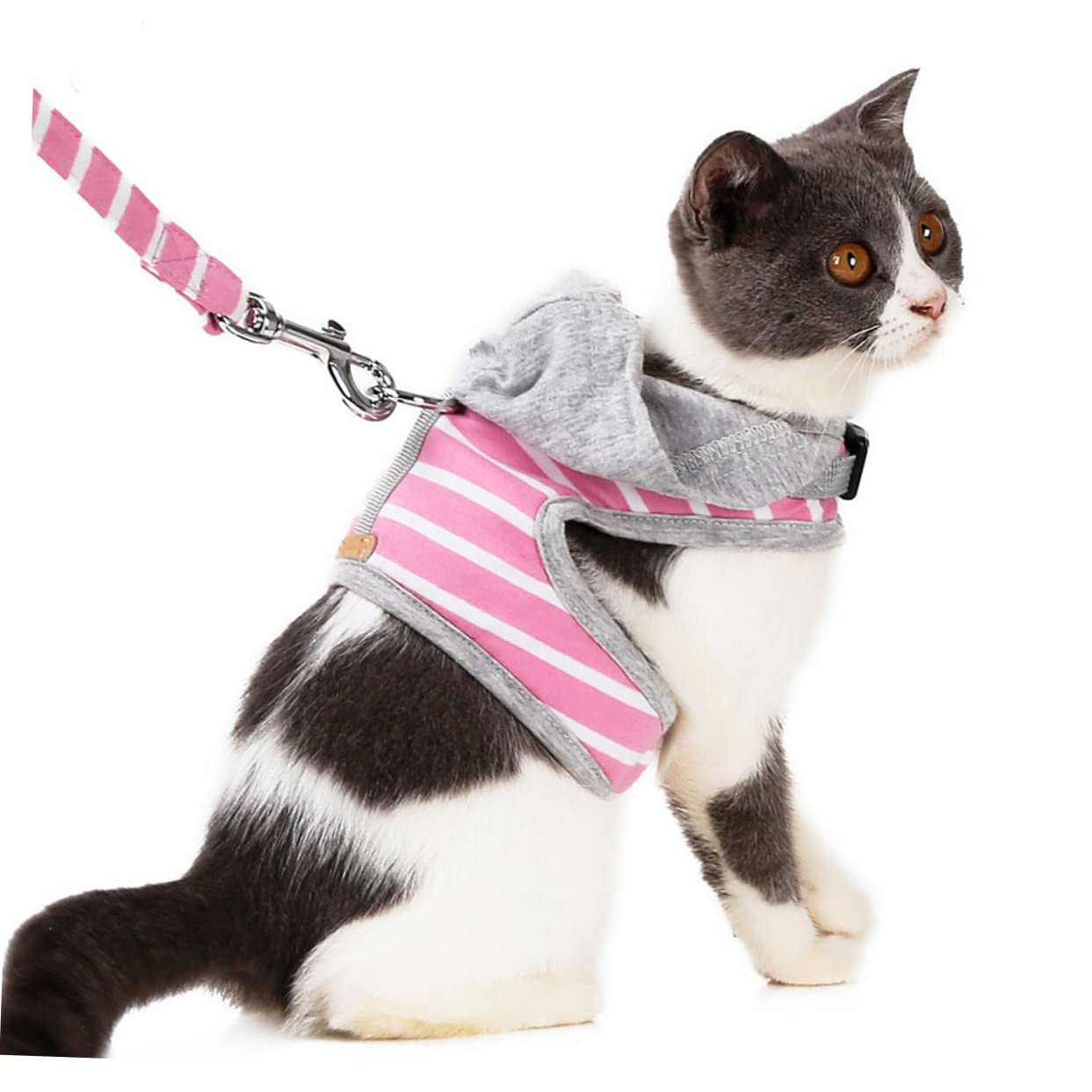 BESPORTBLE Ensemble De 3 Gilets pour Chat Et Laisse pour Promener Votre Animal De Compagnie Robustes Et Confortables pour Votre Félin
