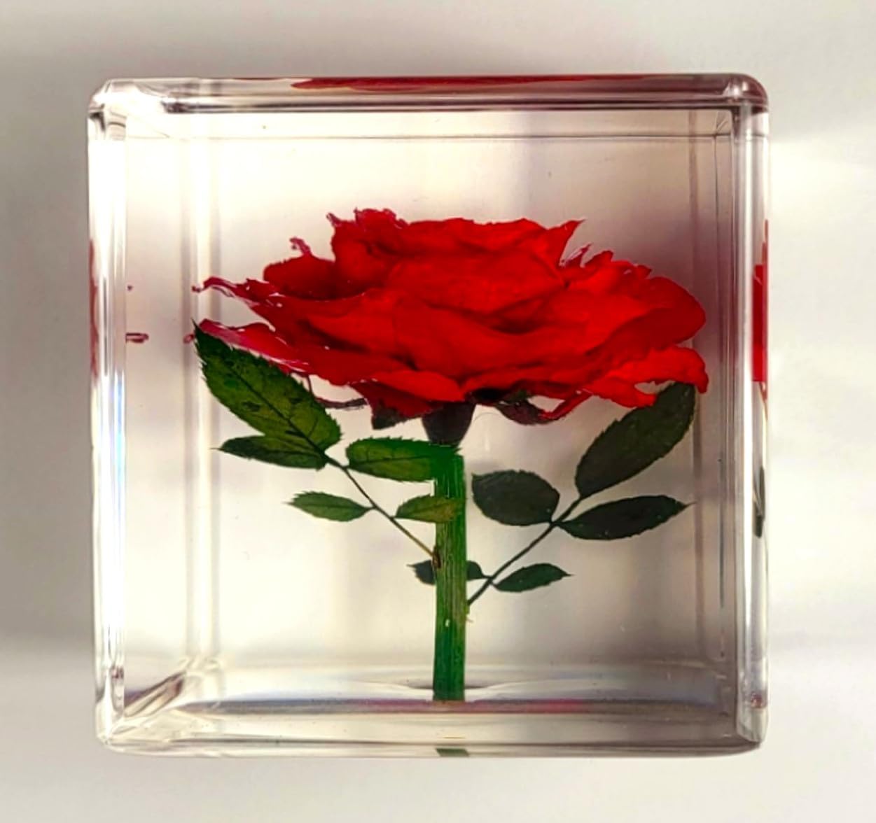 2" Real Red Rose Flower in Crystal Clear Lucite Resin Cube Anniversary Wedding Engagement Valentine Day Gift June Birth Month Flower Display Decor Collection Botanist Herb Herbarium Paperweight