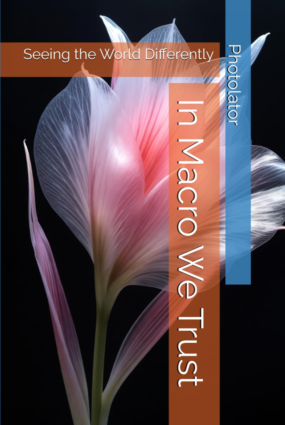 In Macro We Trust: Seeing the World Differently (Photography Guide)