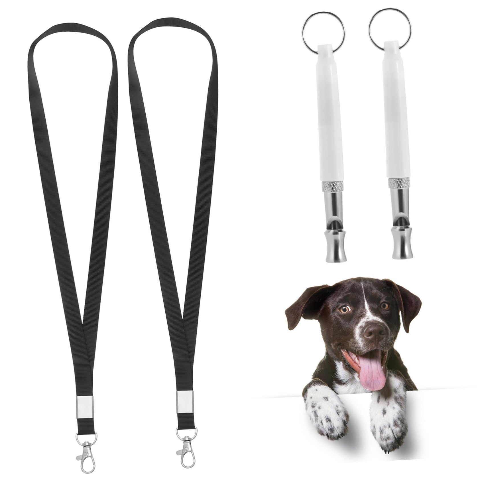 BESTonZON 2pcs Pet Whistle Lanyard Puppy Rope Trainer Sound Dog Training Tag Loud Dog Whistles Training Dog Whistle for Training Dog Whistle Training Dog Obedience Training Tools White