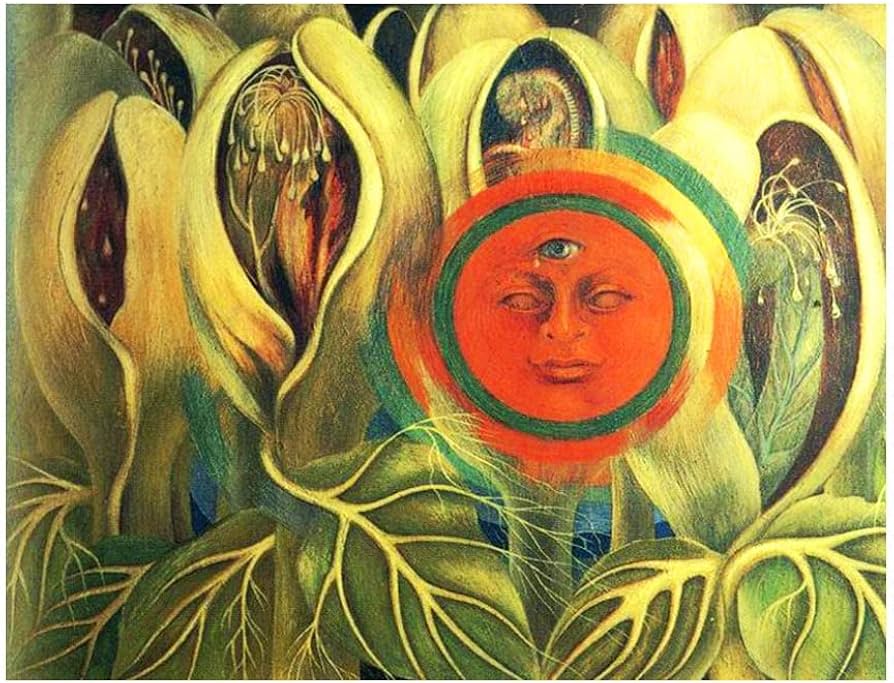 Frida Kahlo - Lienzo decorativo para pared, diseño de sol y vida, para sala de estar, dormitorio, cocina (sin marco, 70 x 91 cm, 28 x 36 pulgadas) : Amazon.es: Hogar y cocina