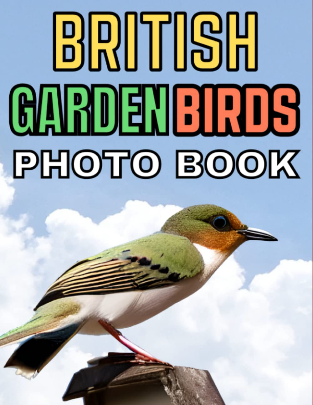 British Garden Birds Photo Book: Gift for Seniors with Dementia, Alzheimer's Patients To Help With Memories and Memory Loss