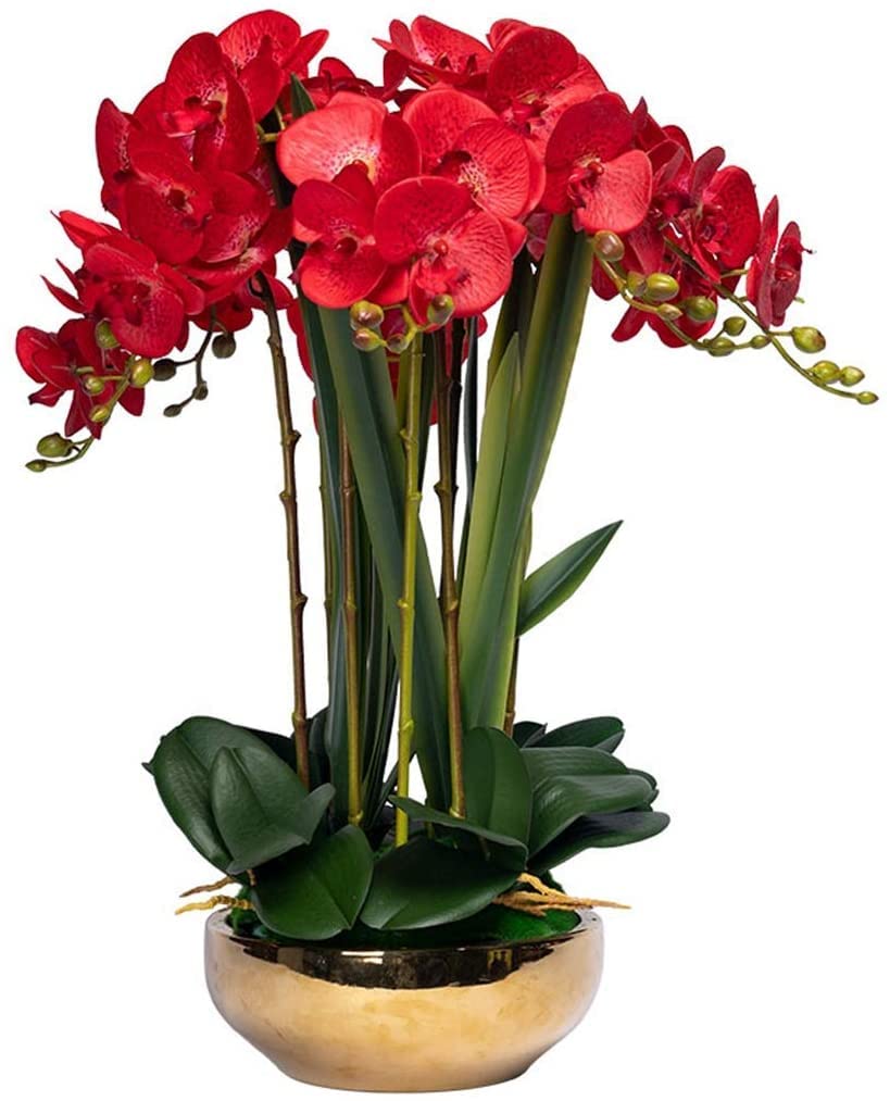 ファレノプシスアーティフィシャルフラワー Amazon｜アーティフィシャル フラワー ポット付き オーキッド 造花