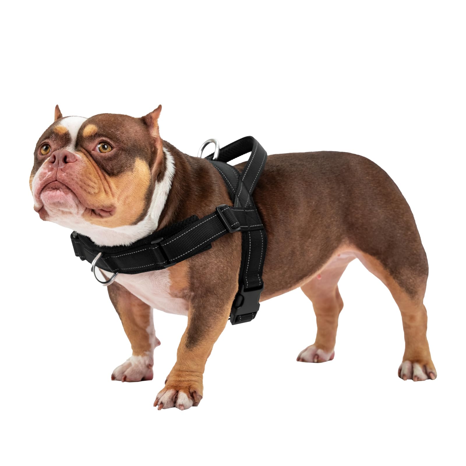 Arblina Harnais pour Chien, Harnais Anti-Traction pour Chiens Moyens et Grands, Harnais à Structure en T avec Éléments Réfléchissants, Harnais Doux pour Pitbull, American Bullies, Noir L