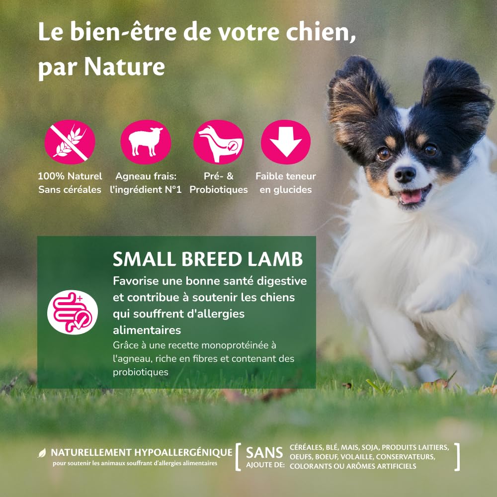 Wellness CORE Agneau 5kg, Agneau – Croquettes Chiens | Petit Chien, Sans Céréales, Naturelles, Hypoallergénique, Riche en protéines, Haute Teneur en Viande, Aide à la Digestion
