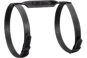 Picnic Blanket Carry Strap: The Ultimate Outdoor Comfort Companion