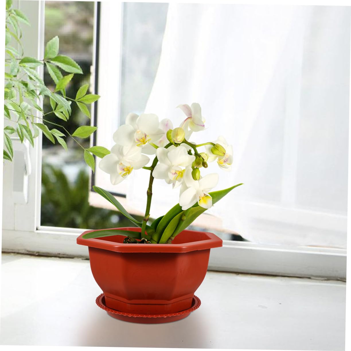 Rouges en PP Pots Octogonaux Faciles à Nettoyer et Entretenir Lot de 5 pour Plantes Succulentes pour Décoration de Jardin Extérieur