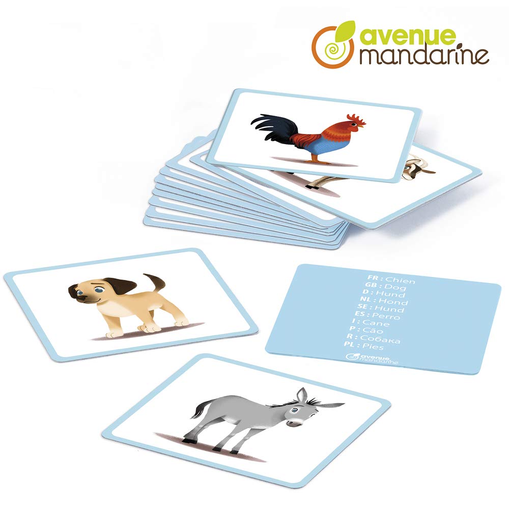 Avenue Mandarine, Ref JE513C, Multilingual Picture Cards, Animal Designs, Features 10 European Languages - Image 2