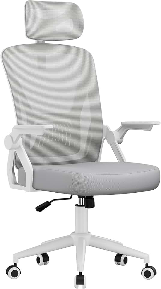naspaluro Chaise de Bureau Ergonomique, Gris