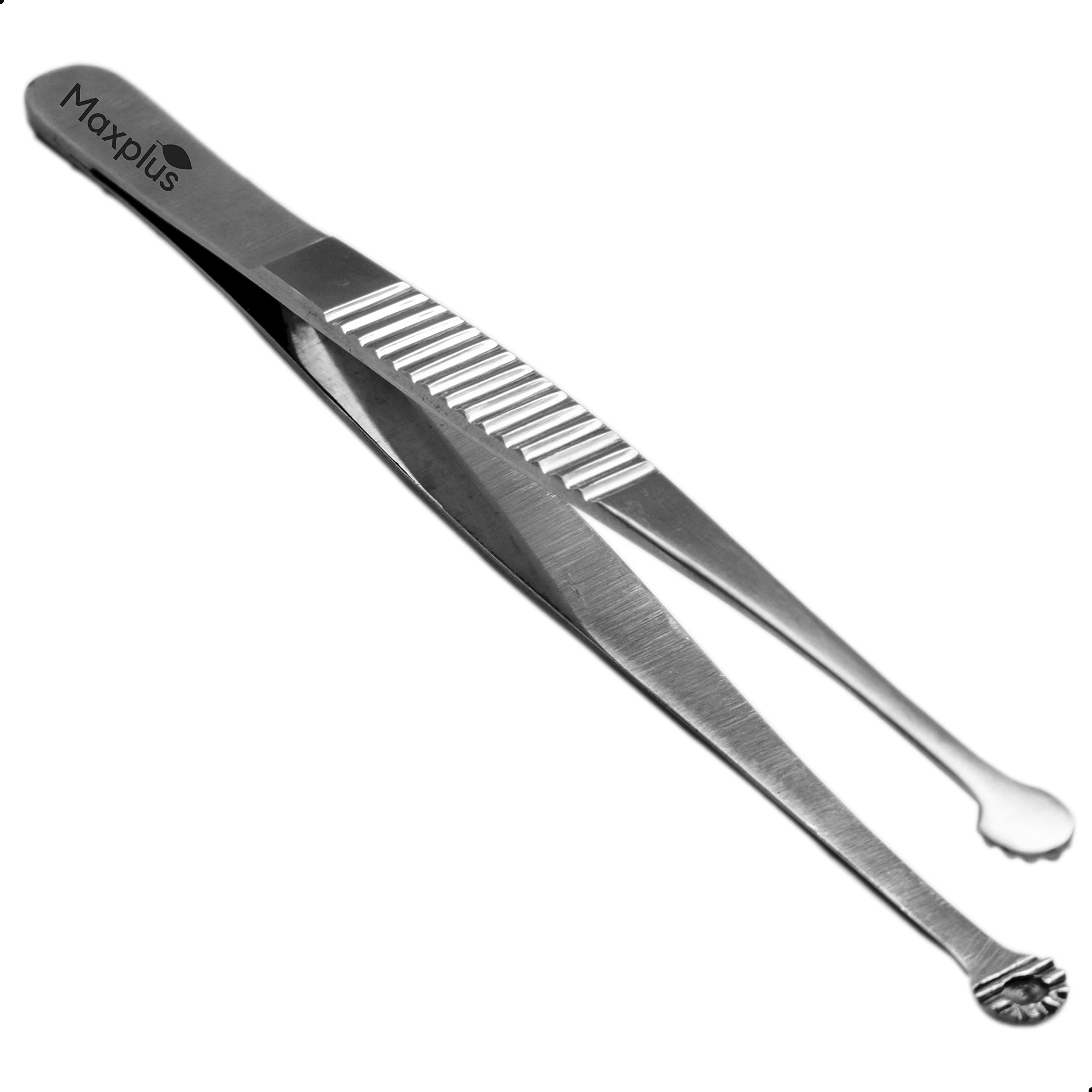 Max Plus | RUSSIAN FORCEPS | Dissecting/Thumb Forceps | Stainless Steel | Surgical Instrument (8 Inch - 20 cm) (B0BTPWB5CM) Amazon Price History, Amazon Price Tracker