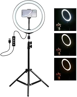ZXM Fill Light LED Ring Bracket Fill Light Selfie Photography Beauty Light Anchor Mobile Live Tripod 26CM Fill Light