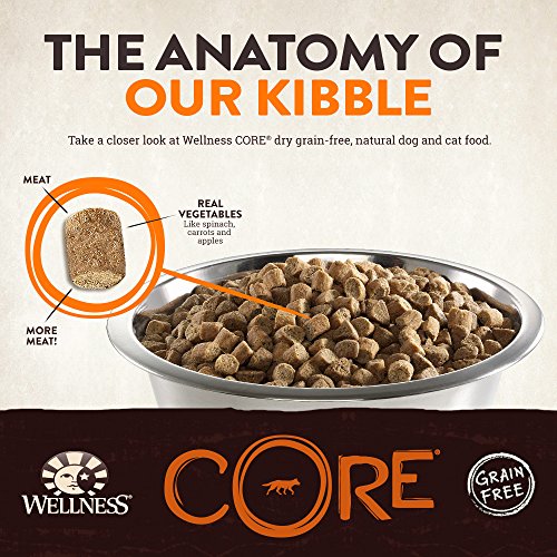 Wellness Core Natural Dry Grain Free Small Breed Dog Food, Turkey & Chicken, 4-Pound Bag #TOP2