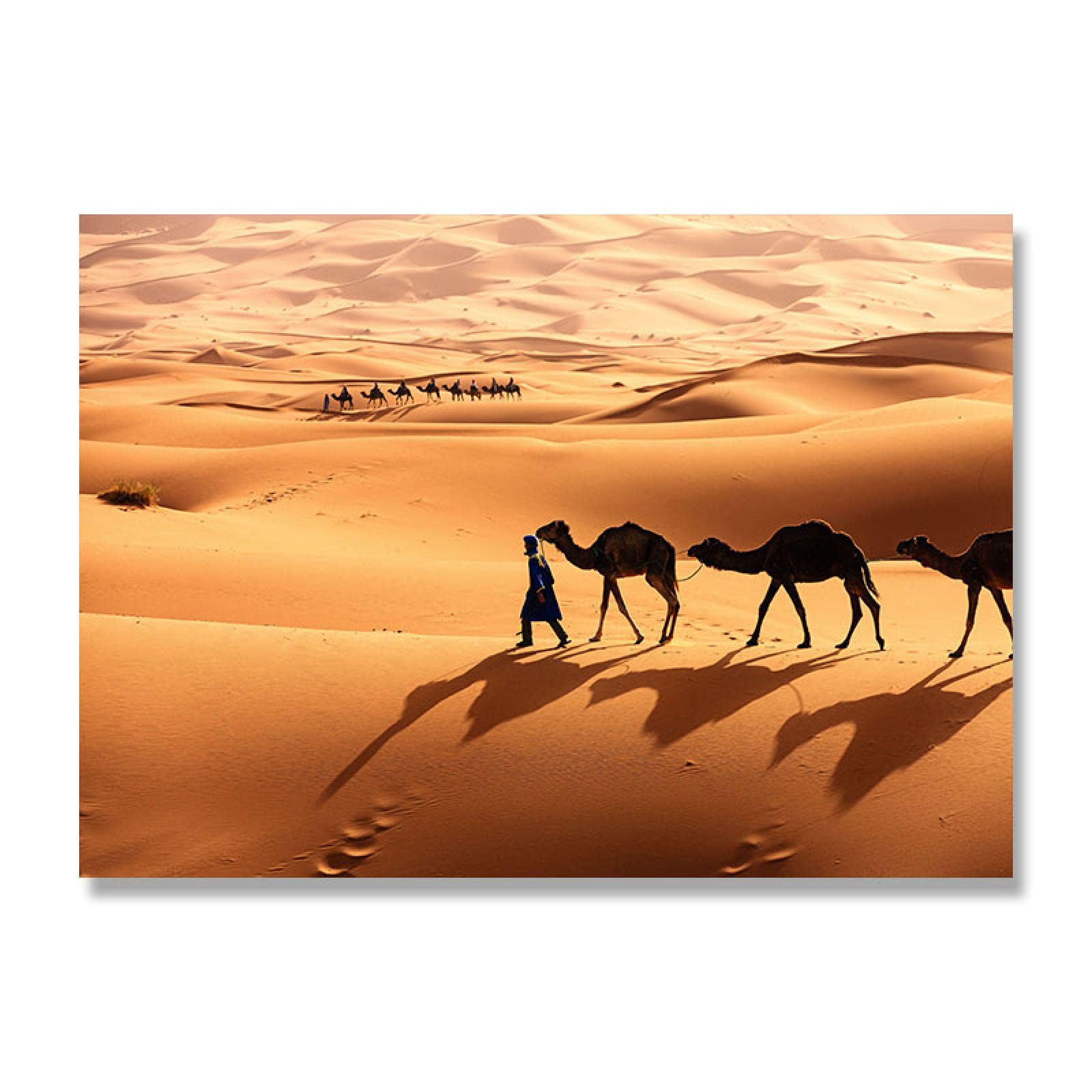 Amazon.co.jp: 砂漠の牧夫とラクダ風景キャンバスプリント壁アート