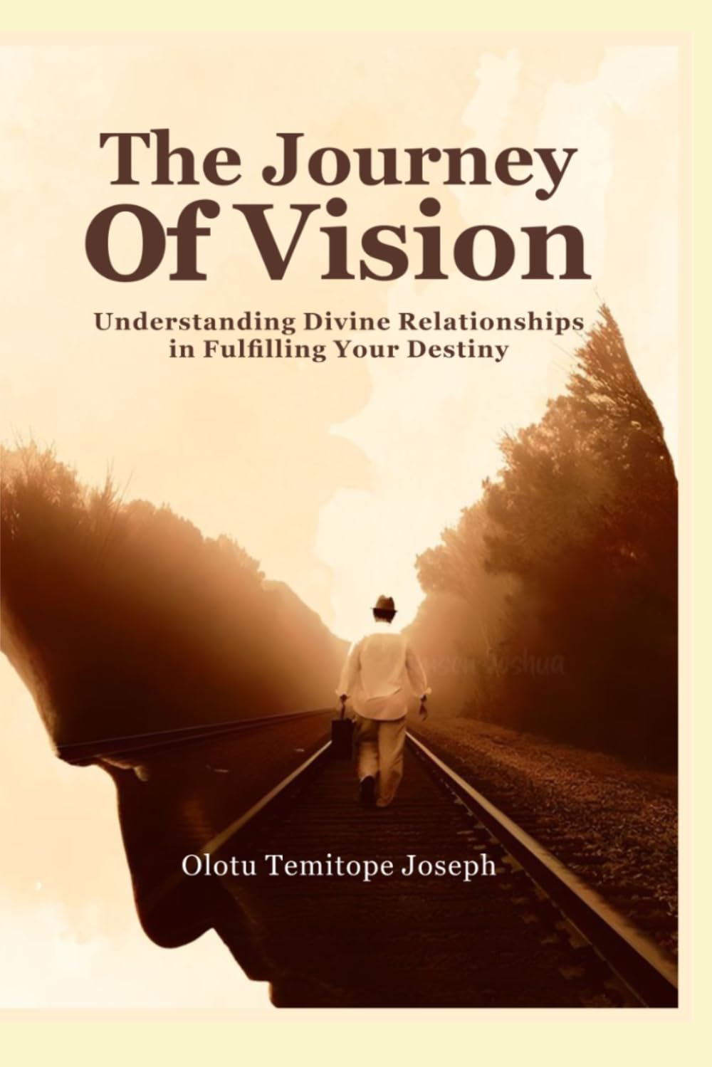 THE JOURNEY OF VISION: Understanding Divine Relationships in Fulfilling Your Destiny