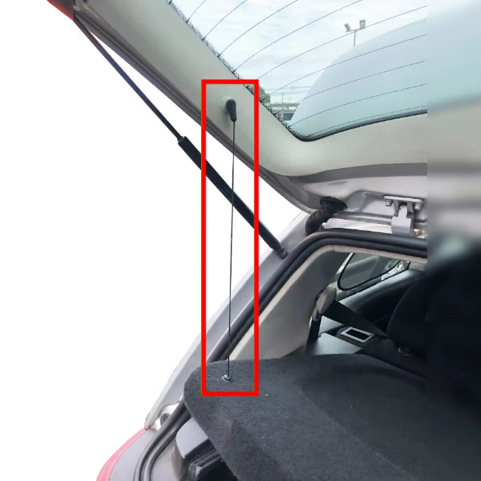 Pour Ford Pour Focus Pour MK2 2005-2014 Voiture Arrière Colis Hayon Coffre Couverture Sangle Pièces Automobiles 4M51A46538AB Corde Suspension Voiture