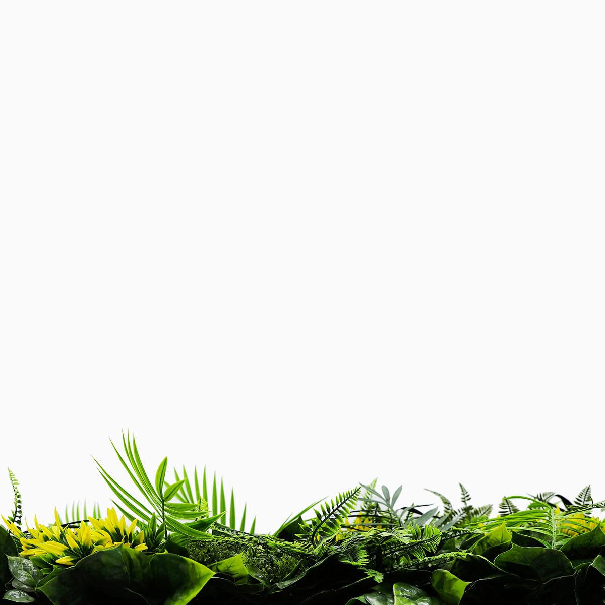 SYNTHAIETIK Lot de 5 Murs Artificiels Modèle Exotik Le Mur Artificiel Exotik est pensé pour reproduire Une végétation Tropicale luxuriante (1M x 1M, 5, Unité)