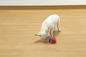 パピー様 Amazon | リッチェル ビジーバディ パピーツイスト S ピンク