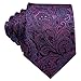 Barry.Wang Paisley Tie Fashion Set Hanky Cufflinks Neckties for Men Woven Silk Purple