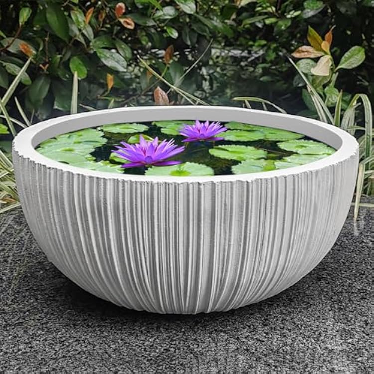 Large Bowl Planter, 17, 14, 11 Inch Wide Shallow Martinique | Ubuy