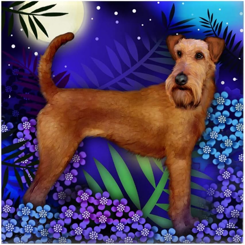 small irish terrier