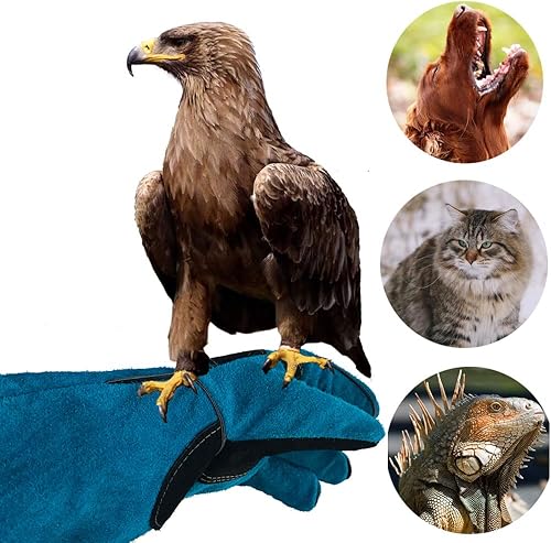 Miniatura 6 de Guantes de mano de animales a prueba de mordeduras de 23.7 pulgadas, reforzados con Kevlar, multiusos, guantes de piel para mascotas, para perro,