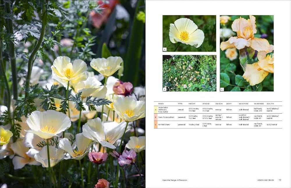 The Gardener's Palette: Creating Colour Harmony in the