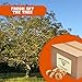 Presto Sales Walnuts Current New Crop huge In shell 10 lbs, Grown in California, Natural Healthy Snack For The Whole Family, Low-Carb, & Easy to Crack Healthy Vegan