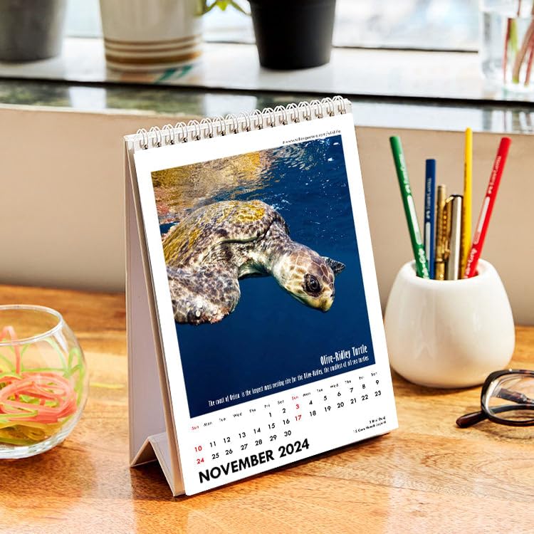 Image of Tallenge - Wild - 2025Wall Calendar - 12 x 17 Inches for Home & Office (Paper, Wall Calendar)