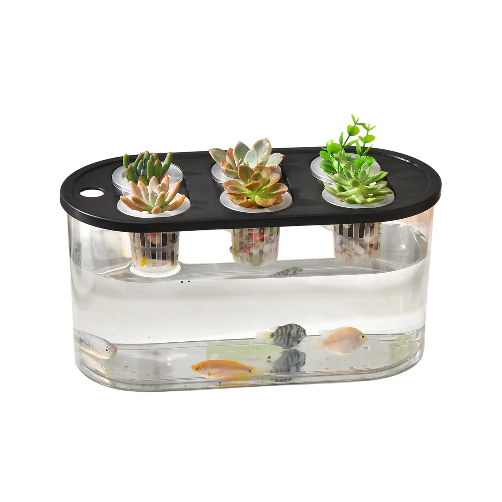 Piceioep Multiple Use Water Culture Box for Hydroponic Tulips Bean Succulents and Various Plant in Homes Gardening Garden Tool
